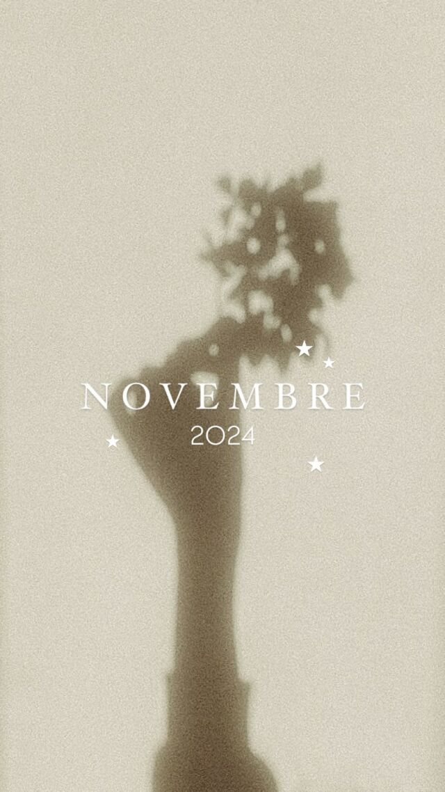 Récapitulatif du mois de novembre ♡ 
Parce que je sais que vous aimiez ce format de réel il y a quelques années. J’espère que vous l’aimez toujours autant ? 
Le mois de novembre c’était des moments paisibles, des ambiances feutrées, et l’hiver qui s’invite doucement… c’est ce que j’ai eu envie de partager avec vous. J’espère que ces clichés auront réchauffer vos cœurs et auront réussis à vous offrir un instant d’évasion, même au milieu du froid. Merci d’être toujours là pour apprécier ces petits bonheurs avec moi !